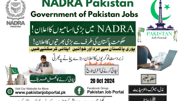 Jobs in NADRA Pakistan Oct 2024